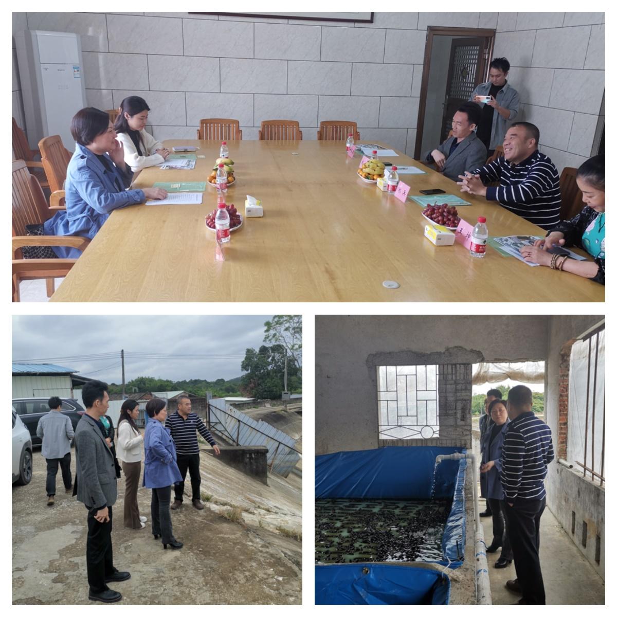 腾博会官网 - 诚信为本,专业服务!