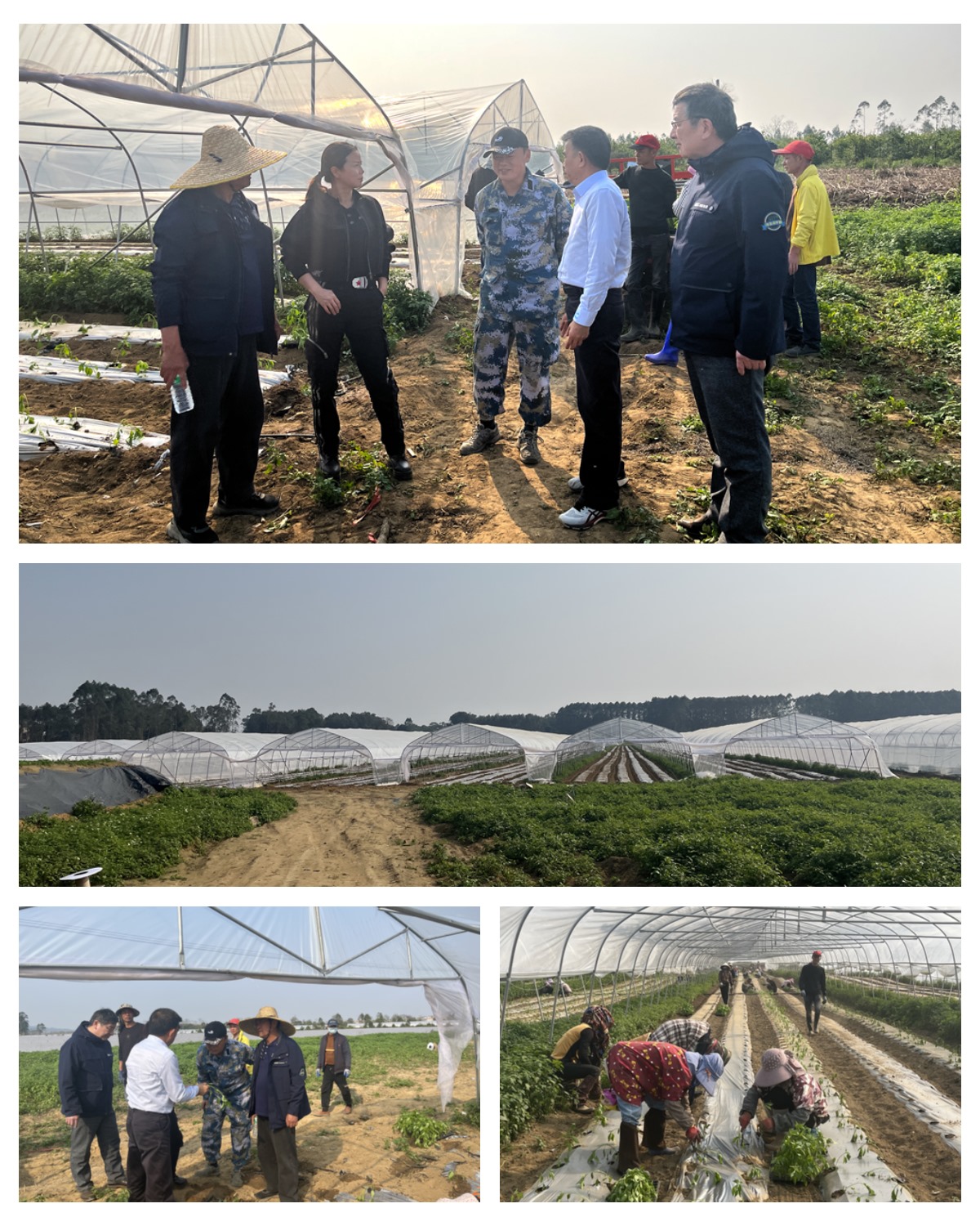 腾博会官网 - 诚信为本,专业服务!