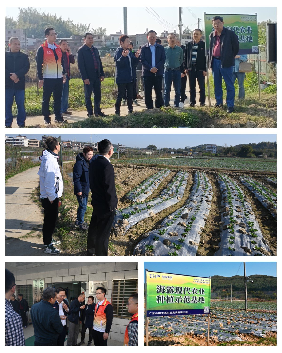 腾博会官网 - 诚信为本,专业服务!