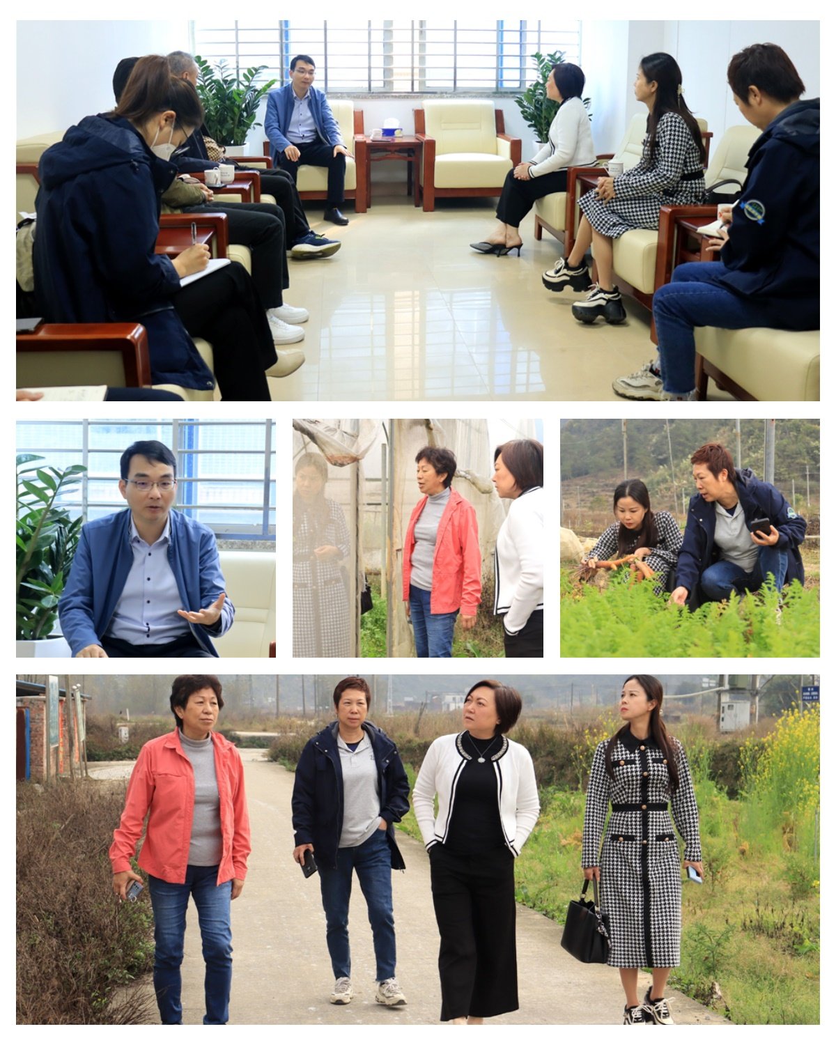 腾博会官网 - 诚信为本,专业服务!