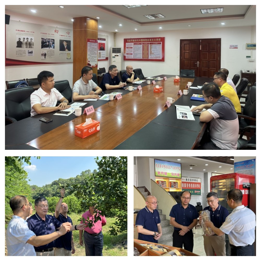 腾博会官网 - 诚信为本,专业服务!