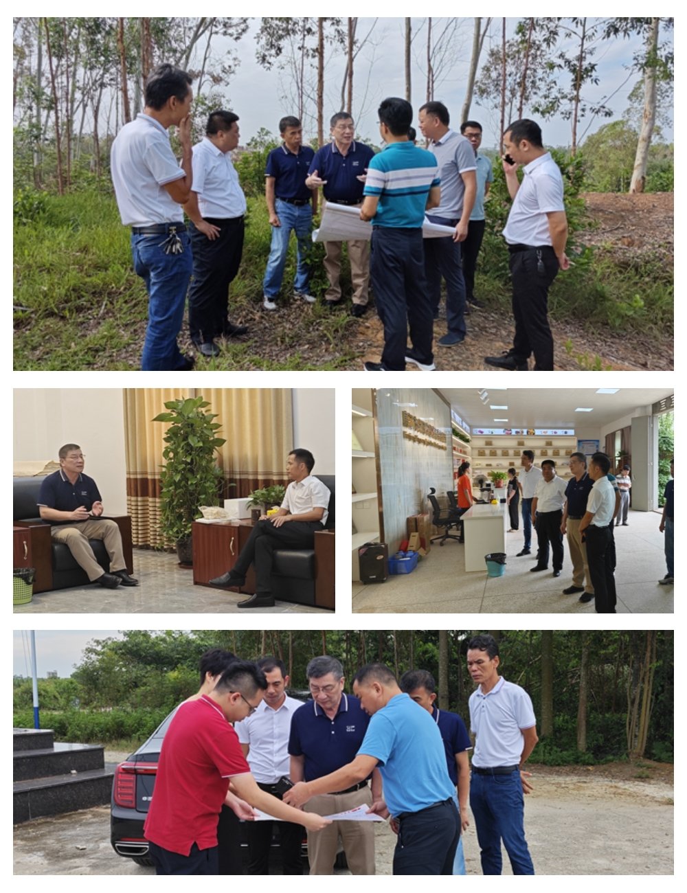 腾博会官网 - 诚信为本,专业服务!