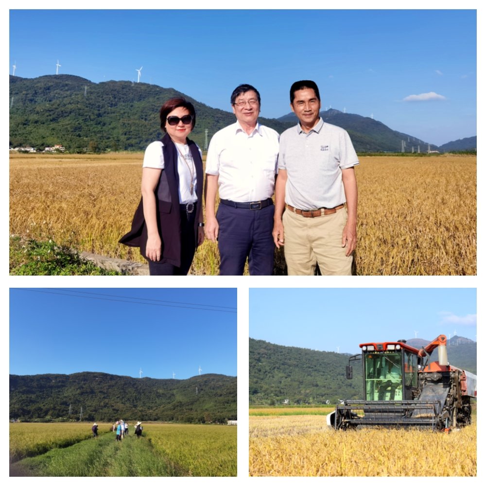 腾博会官网 - 诚信为本,专业服务!