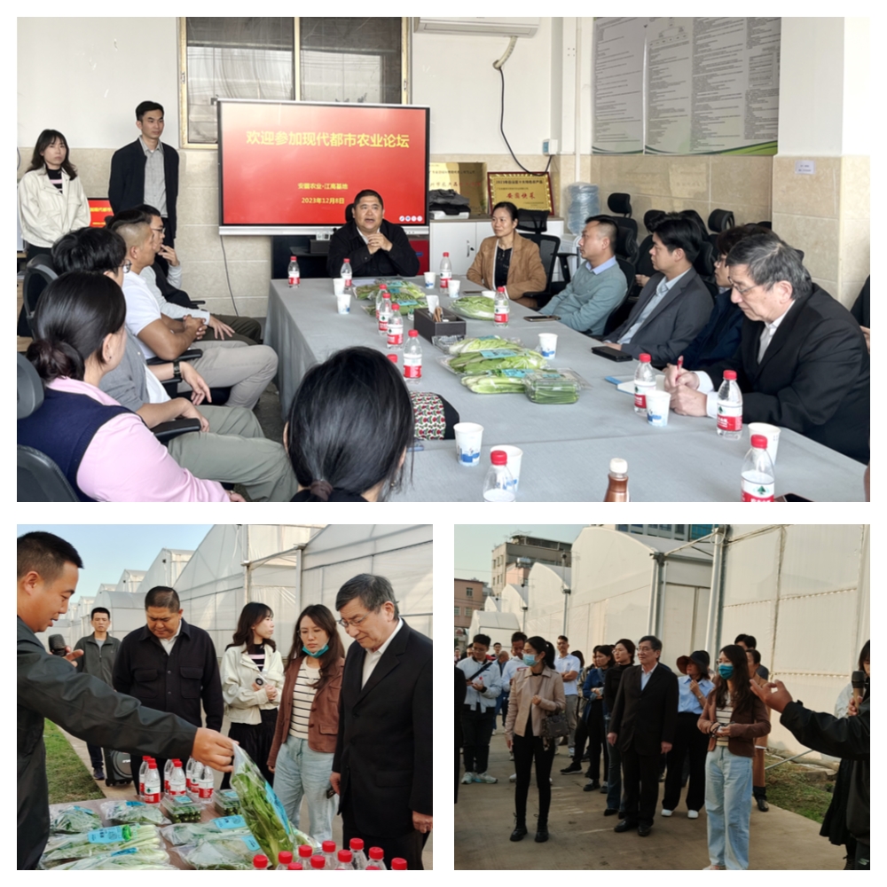 腾博会官网 - 诚信为本,专业服务!