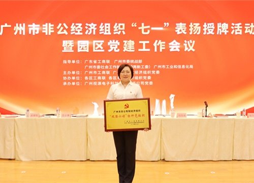 标杆引领，荣誉升级！集团党支部荣膺广州市非公有造经济组织“双强六好”标