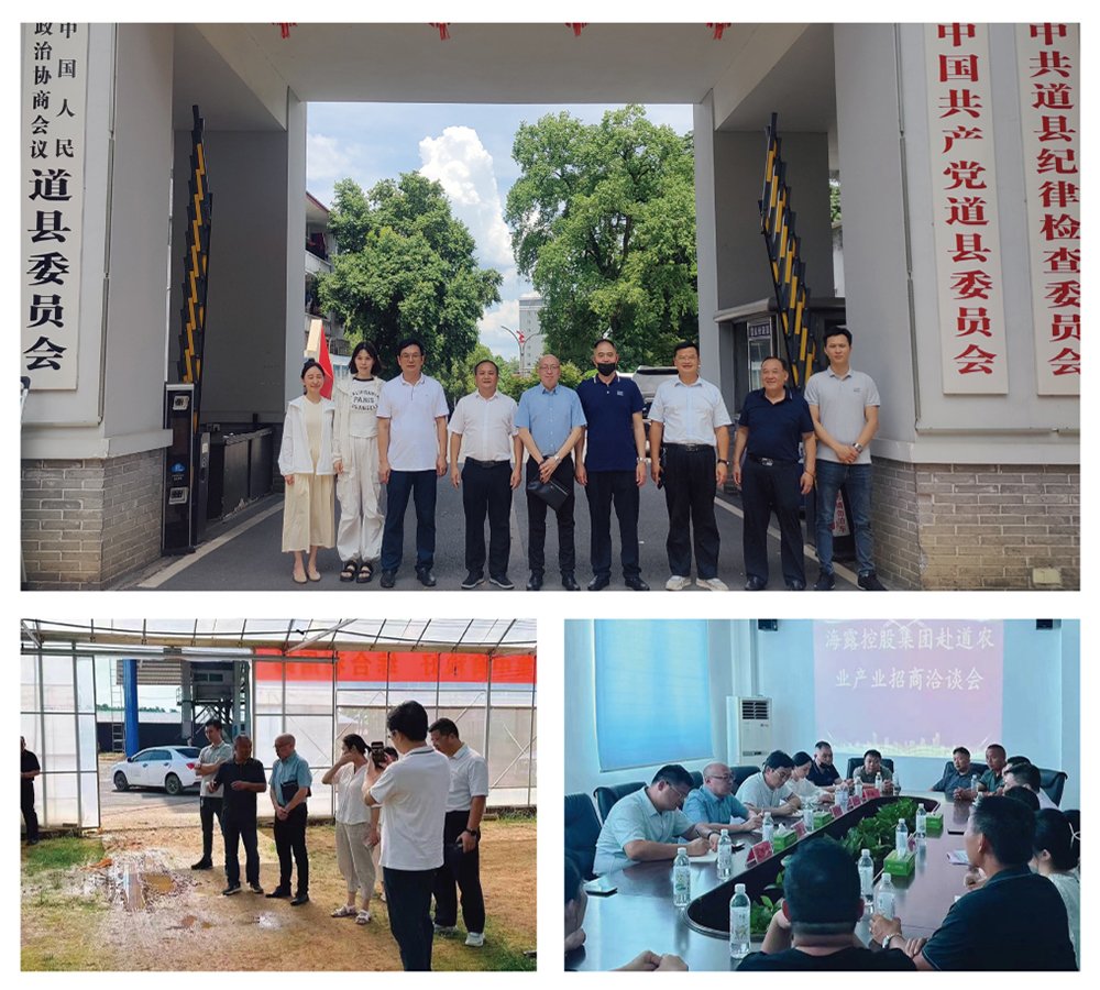 腾博会官网 - 诚信为本,专业服务!