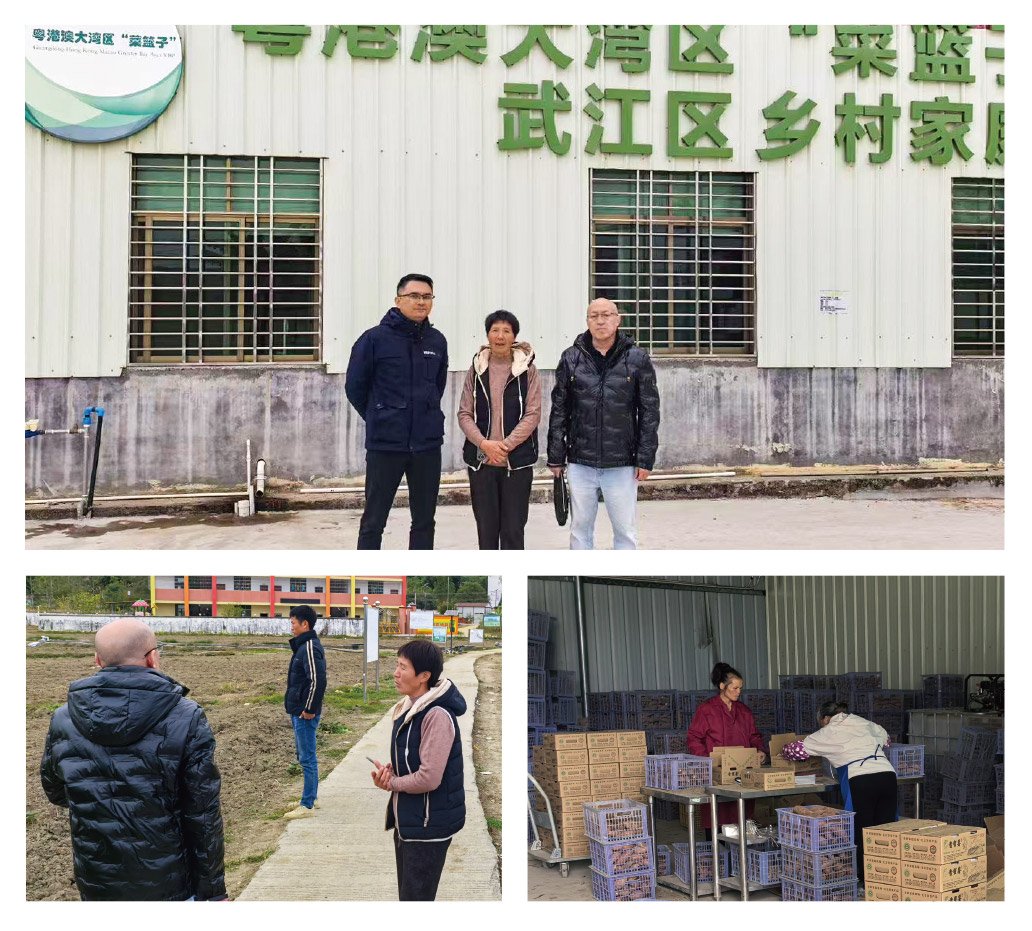 腾博会官网 - 诚信为本,专业服务!