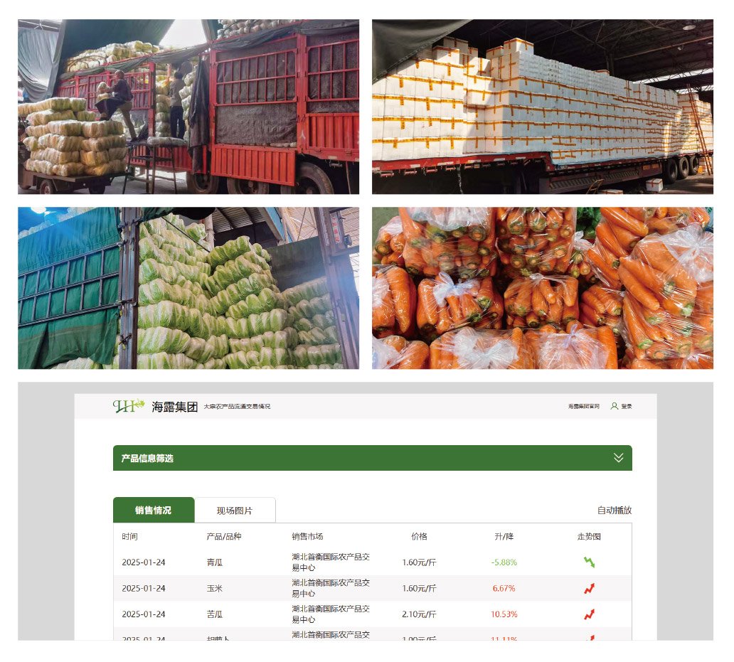 腾博会官网 - 诚信为本,专业服务!