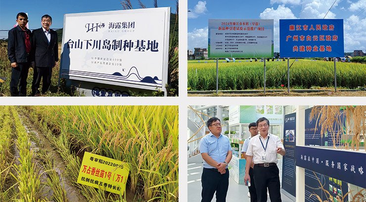 腾博会官网 - 诚信为本,专业服务!