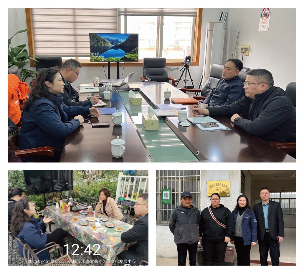 腾博会官网 - 诚信为本,专业服务!