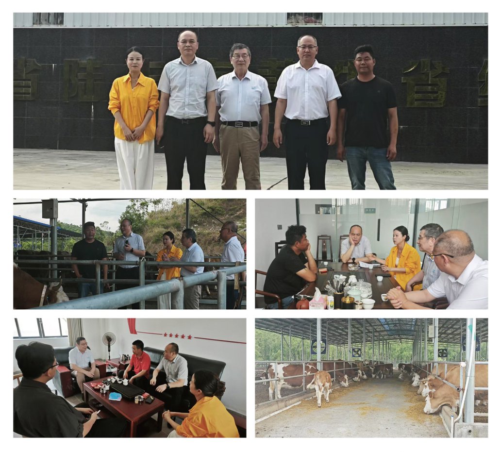 腾博会官网 - 诚信为本,专业服务!