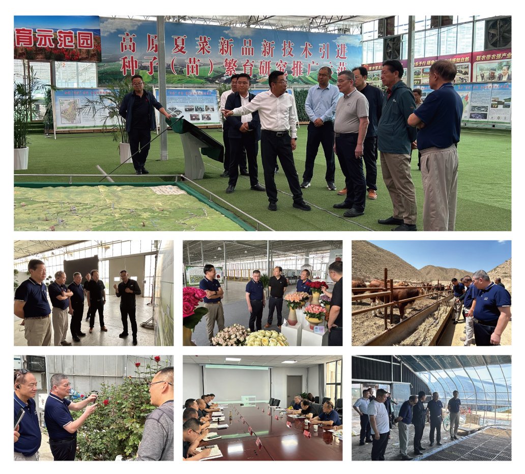 腾博会官网 - 诚信为本,专业服务!