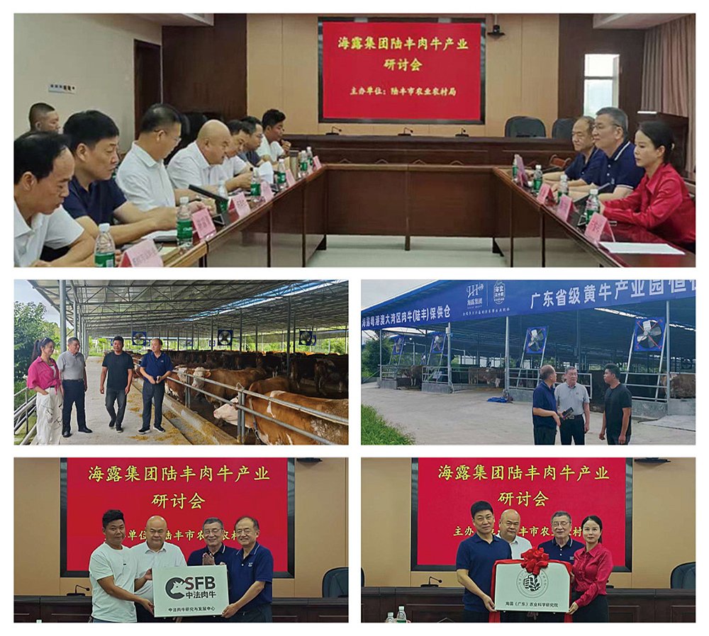 腾博会官网 - 诚信为本,专业服务!