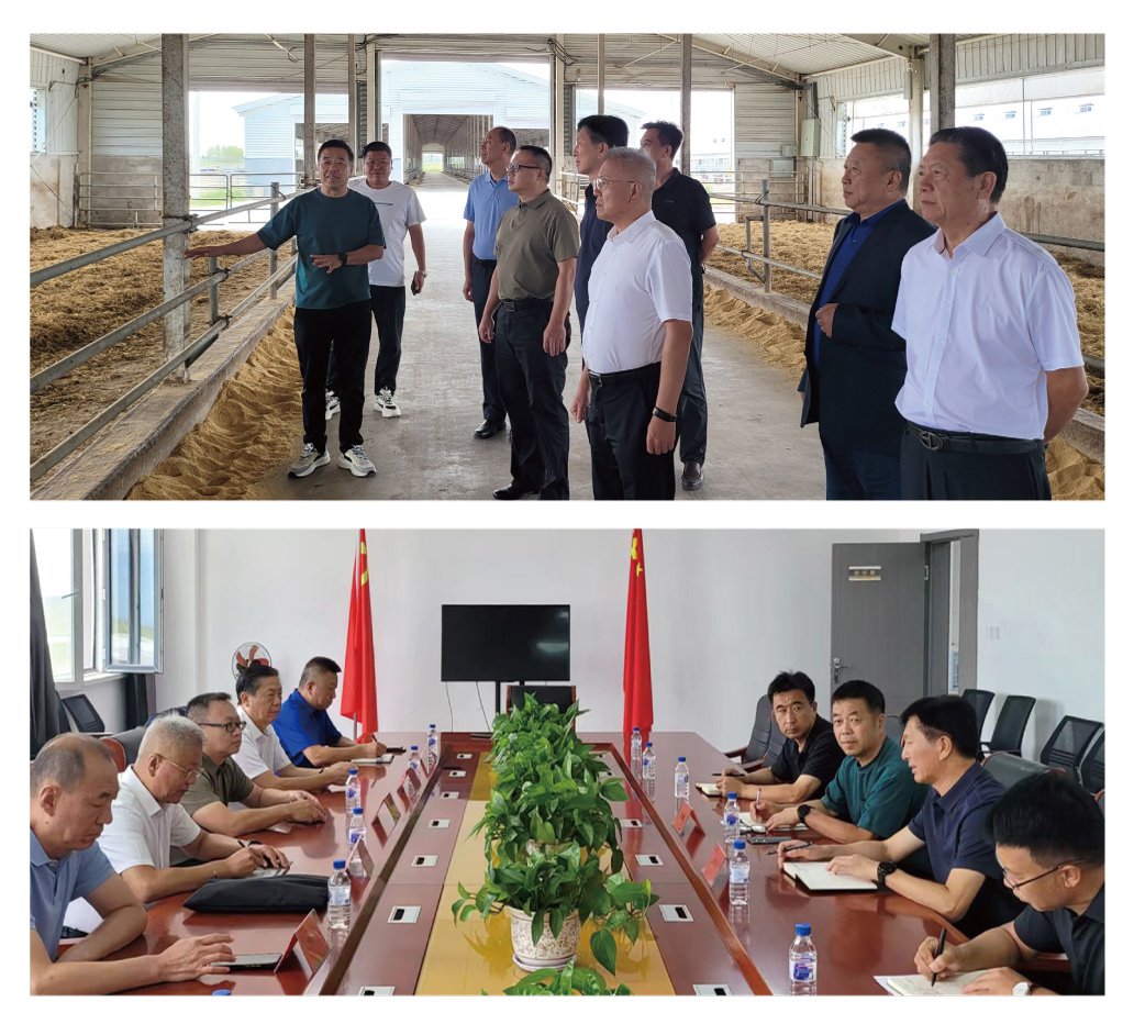 腾博会官网 - 诚信为本,专业服务!