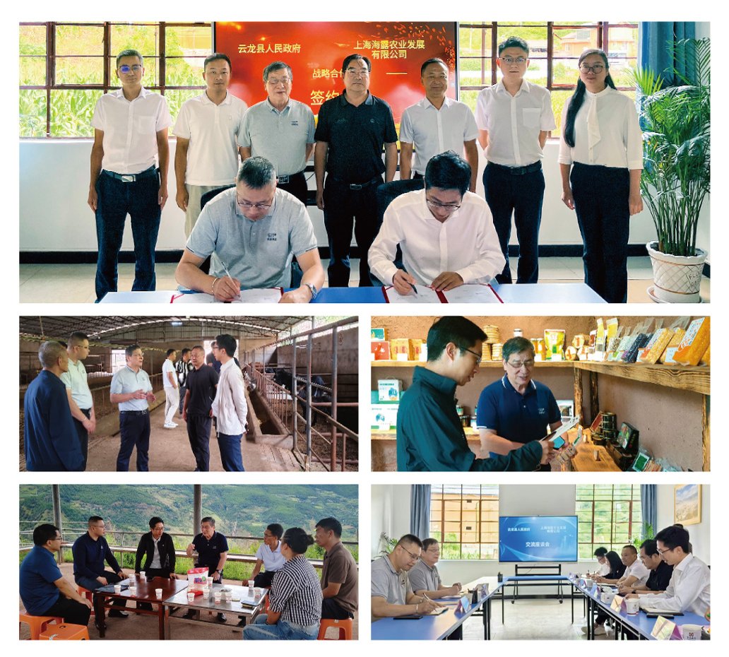 腾博会官网 - 诚信为本,专业服务!