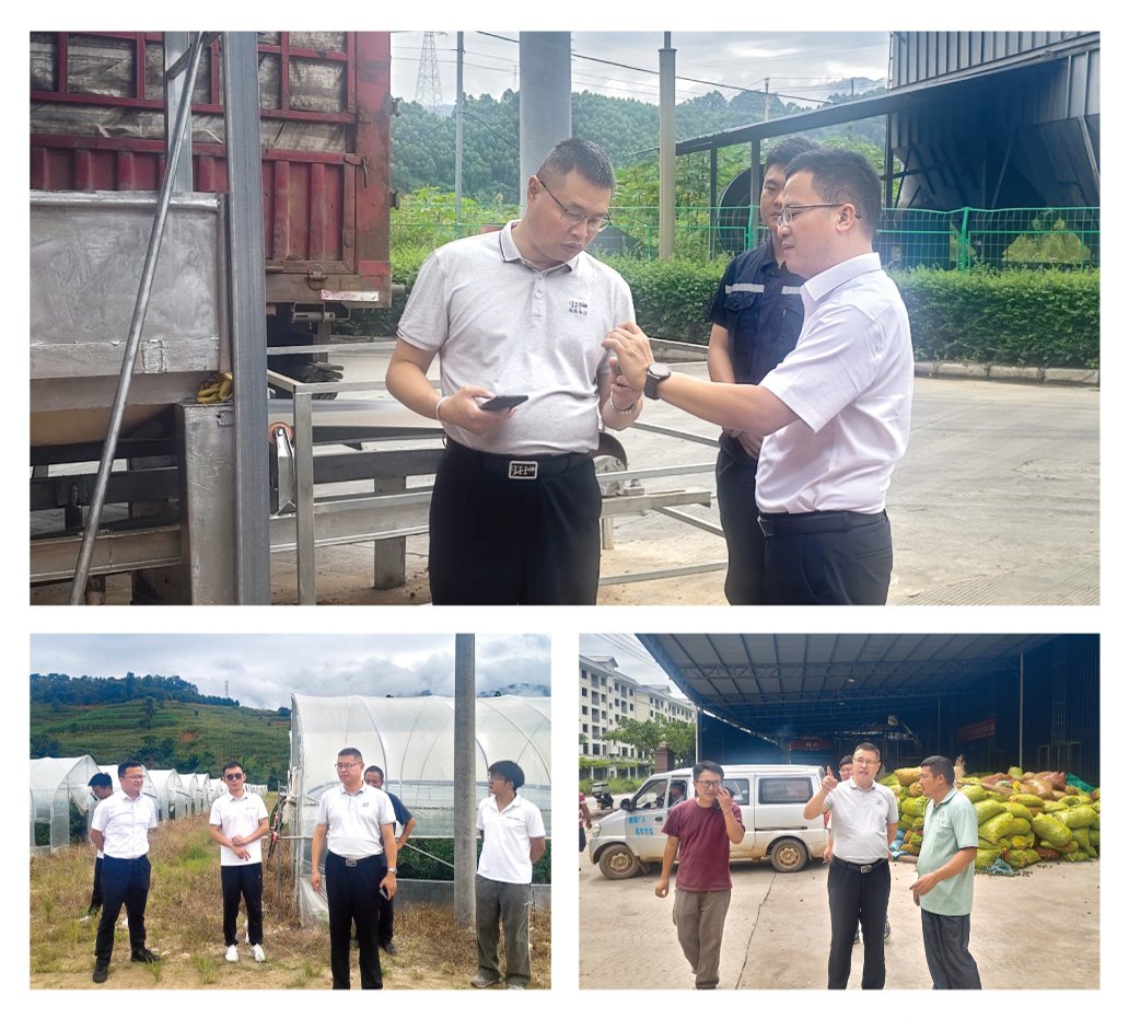 腾博会官网 - 诚信为本,专业服务!