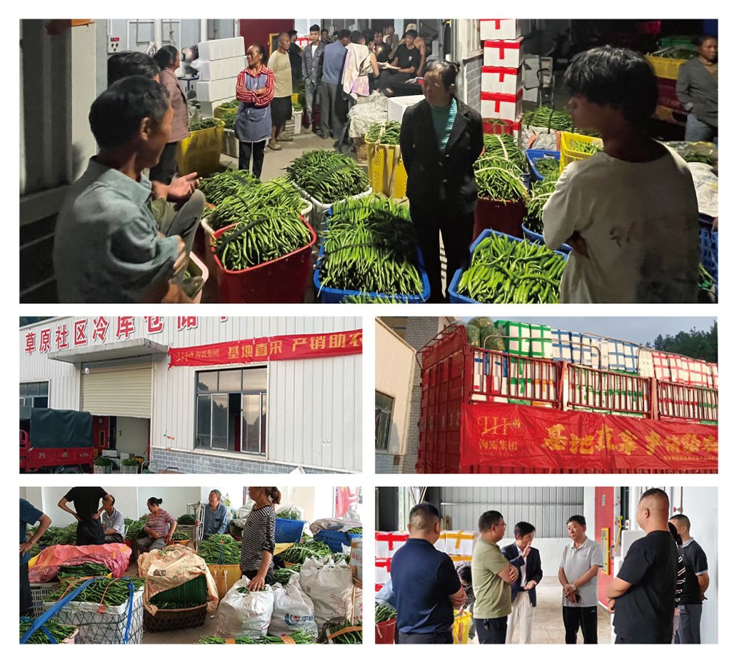 腾博会官网 - 诚信为本,专业服务!