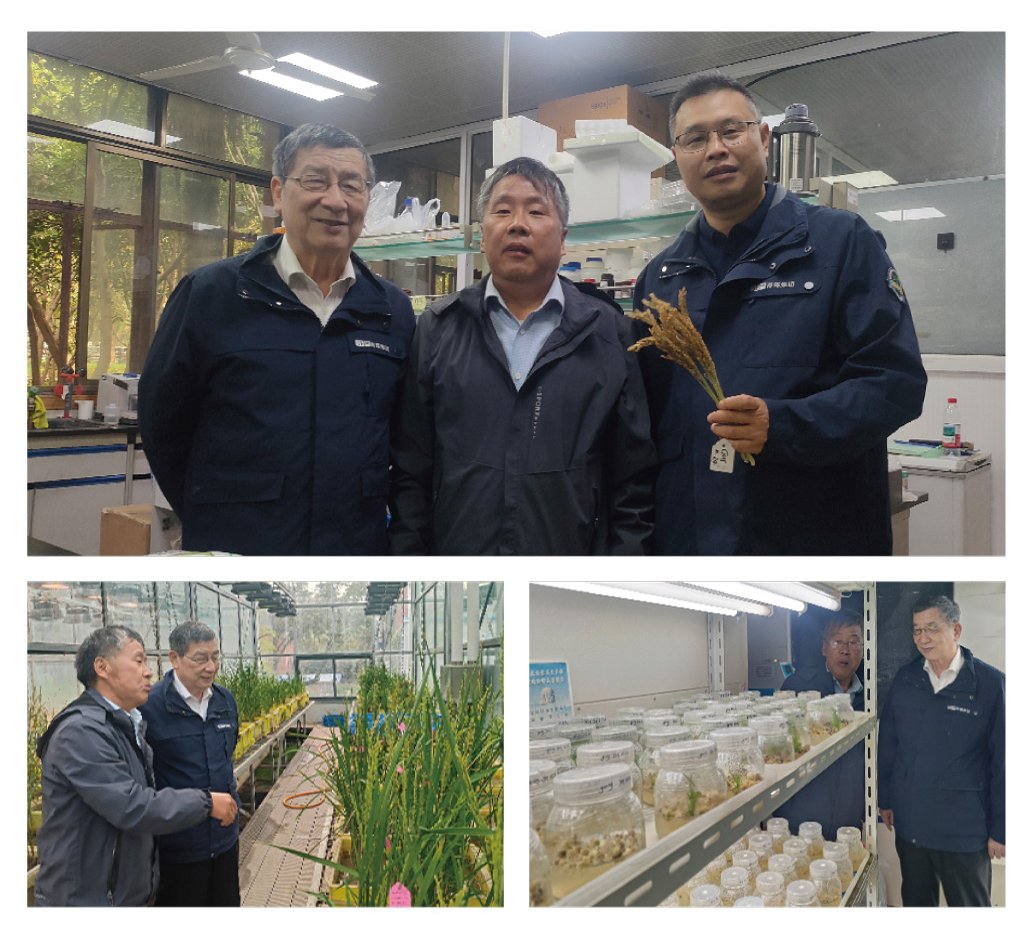 腾博会官网 - 诚信为本,专业服务!