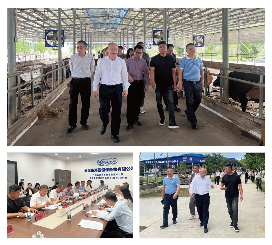 腾博会官网 - 诚信为本,专业服务!