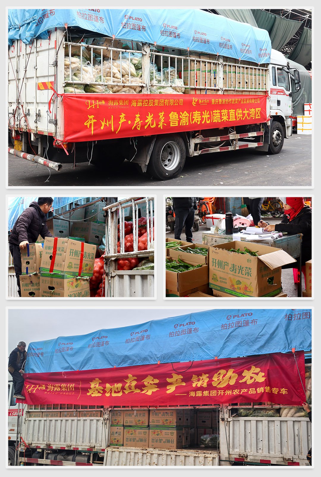 腾博会官网 - 诚信为本,专业服务!